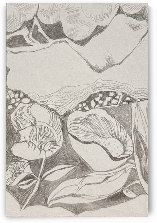 Silverpoint Landscape View 1  by Barbara Jacobs