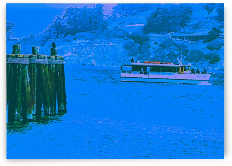 A Bird and a Boat on the Bay by Barbara Jacobs