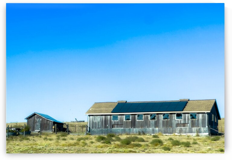Blue Roof Shed  by Barbara Jacobs