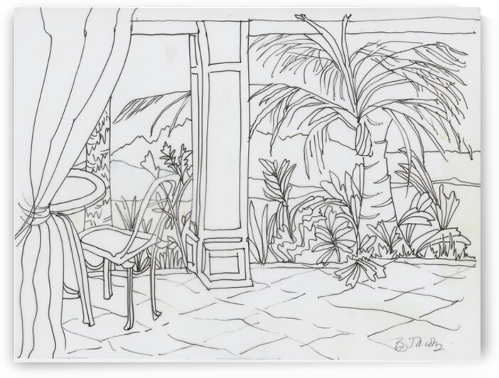 Kauai View by Barbara Jacobs