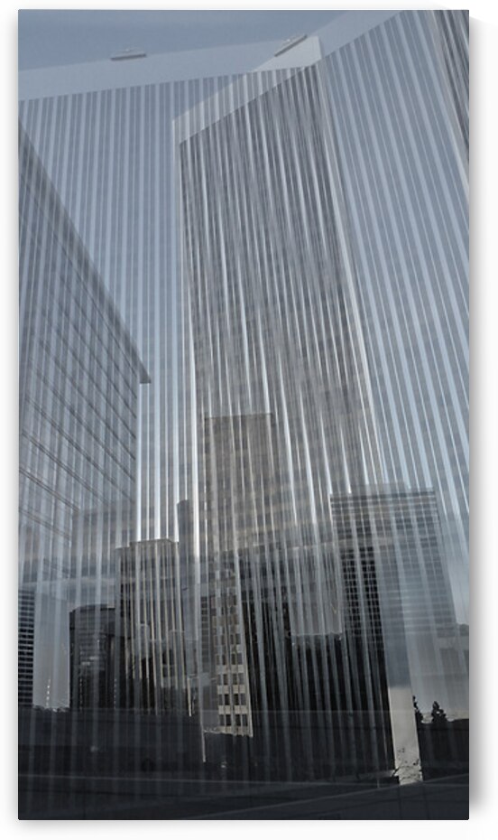 LA Composite by Barbara Jacobs