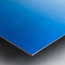 Blue Roof Shed  Metal print