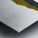 Laguna Marsh View In Motion Metal print