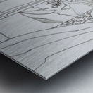 Kauai View Metal print