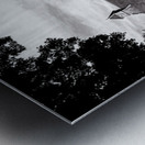 Historic Hospital in Black and White Metal print