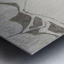 Silverpoint Landscape View Metal print