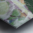 Sonoma Hills -2  Metal print