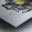 Wanderers Emerging Colors Now Metal print