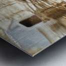 Historic House from 1800s  Metal print