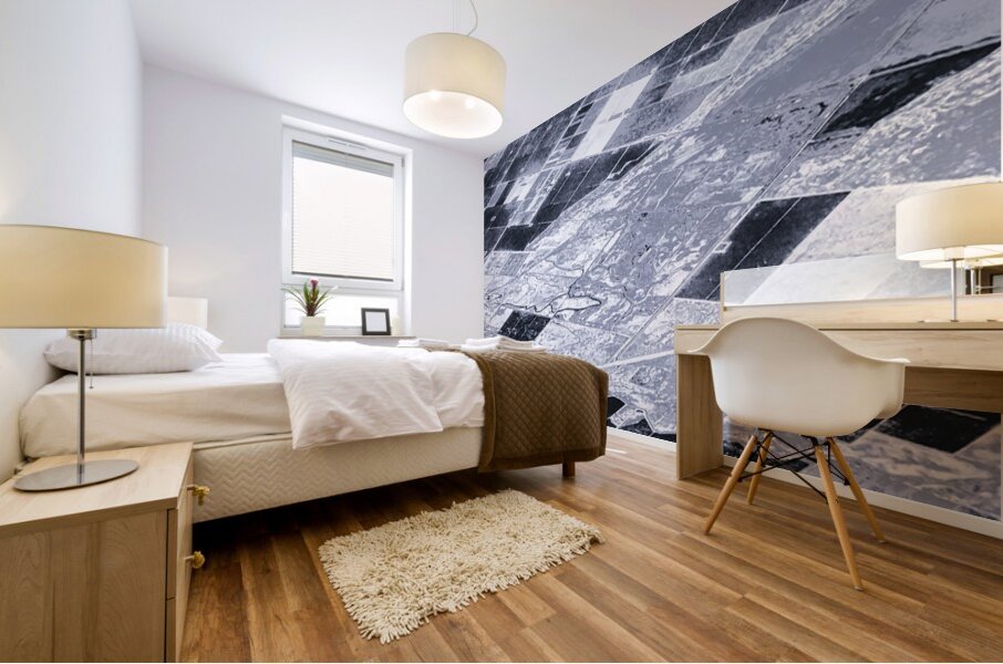 Air View Landscape Mural print