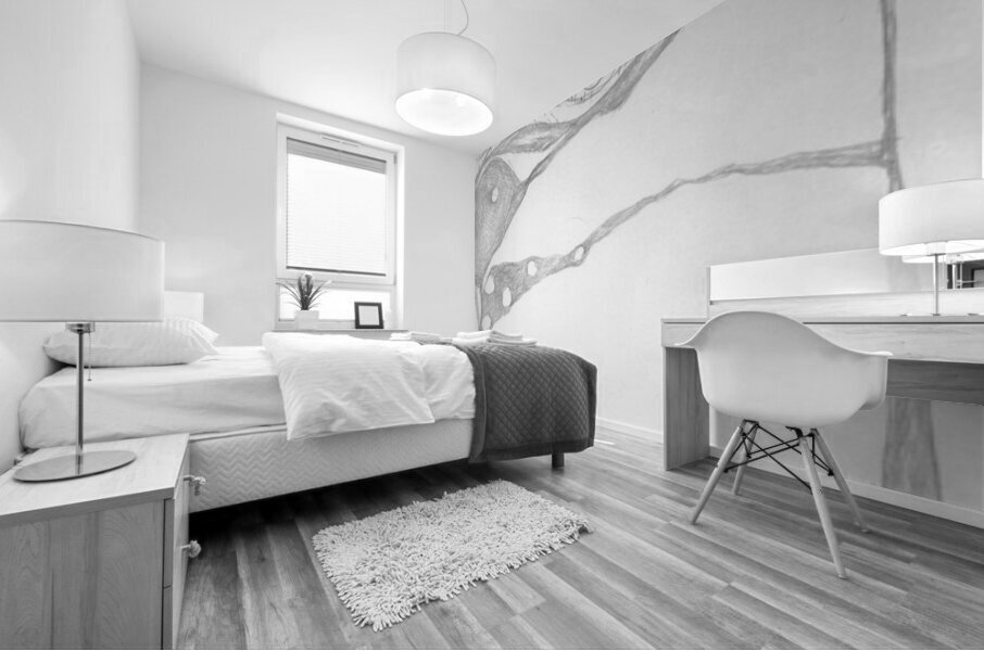 Dreamscapes - Silverpoint - Above and Below Mural print