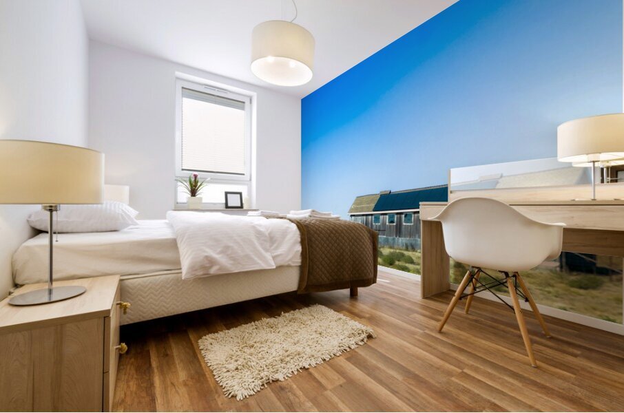 Blue Roof Shed  Mural print