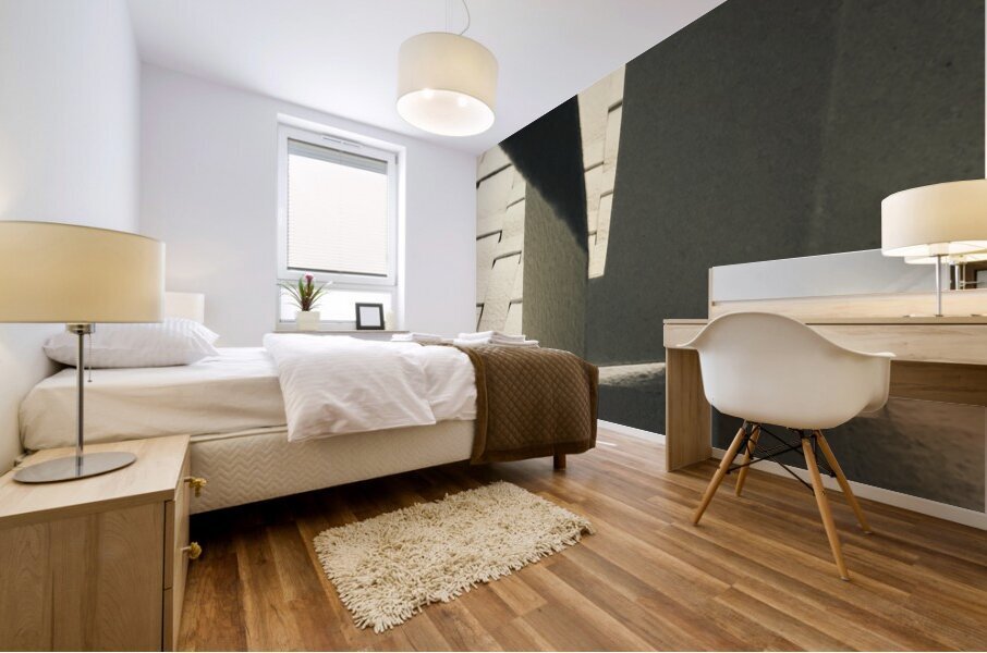 Gray Doorways  Mural print