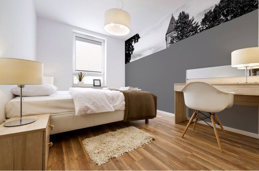 Historic Hospital in Black and White Mural print