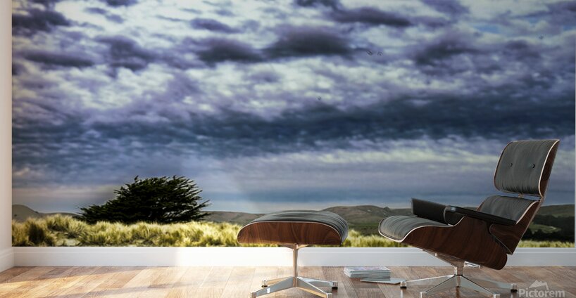 Alone Waiting for Rain Wall Murals