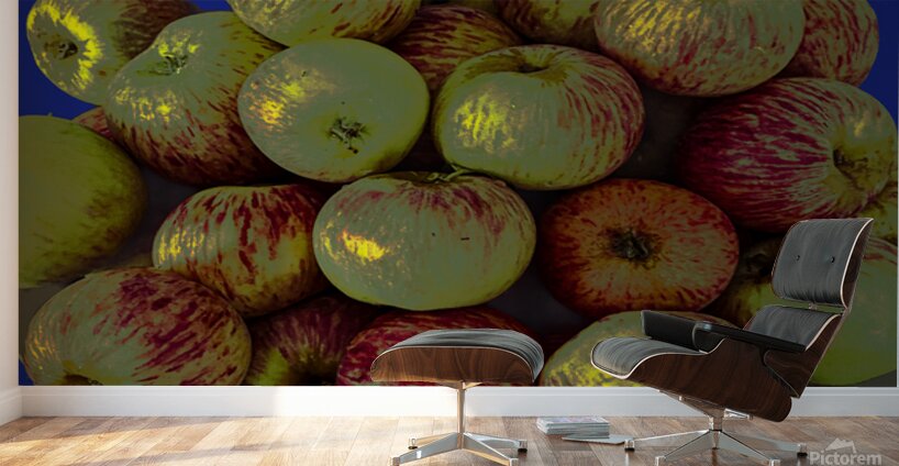 Apples on Blue Wall Murals