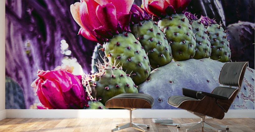 Cactus Group   Wall Murals