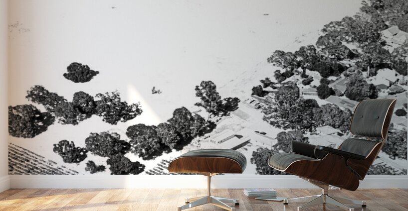 Abstract Fields Wall Murals