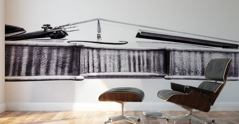 Fiddle in Black and White Wall Murals