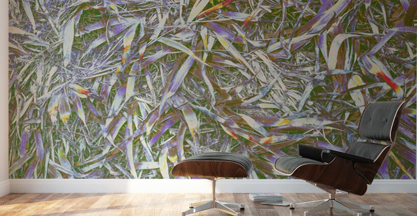 Many Grasses  Wall Murals