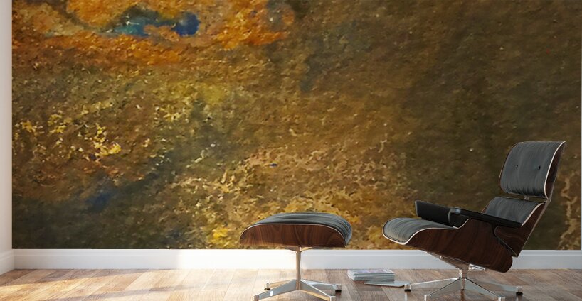 Cosmic Explorer 2 Wall Murals