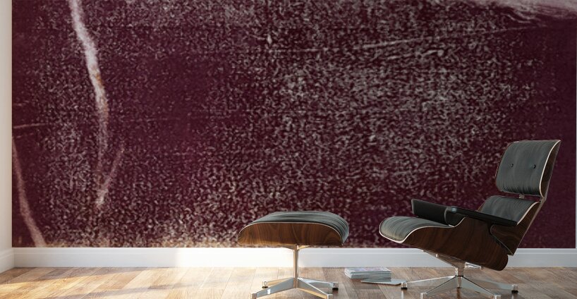 Reflective Sun Wall Murals