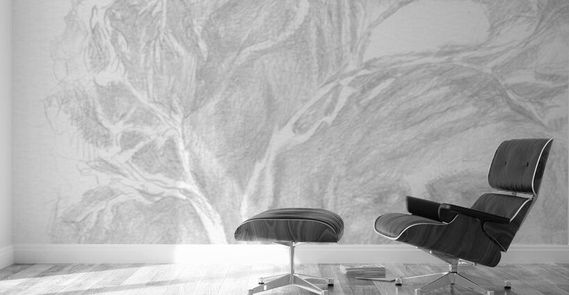 Dreamscapes - Silverpoint - Living in Trees Wall Murals