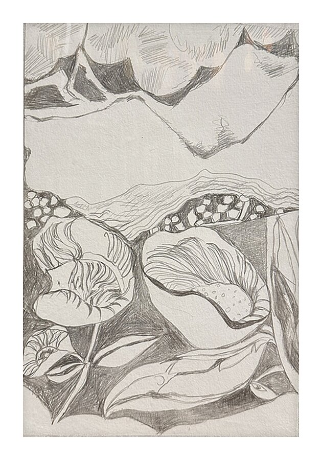 Silverpoint Landscape View Picture Frame Printing