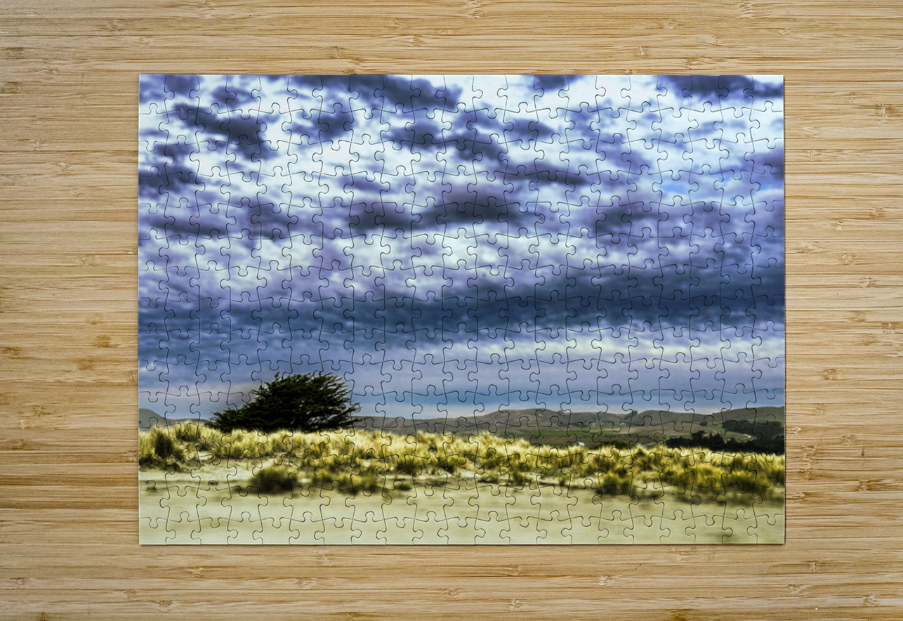 Alone Waiting for Rain Barbara Jacobs Puzzle printing