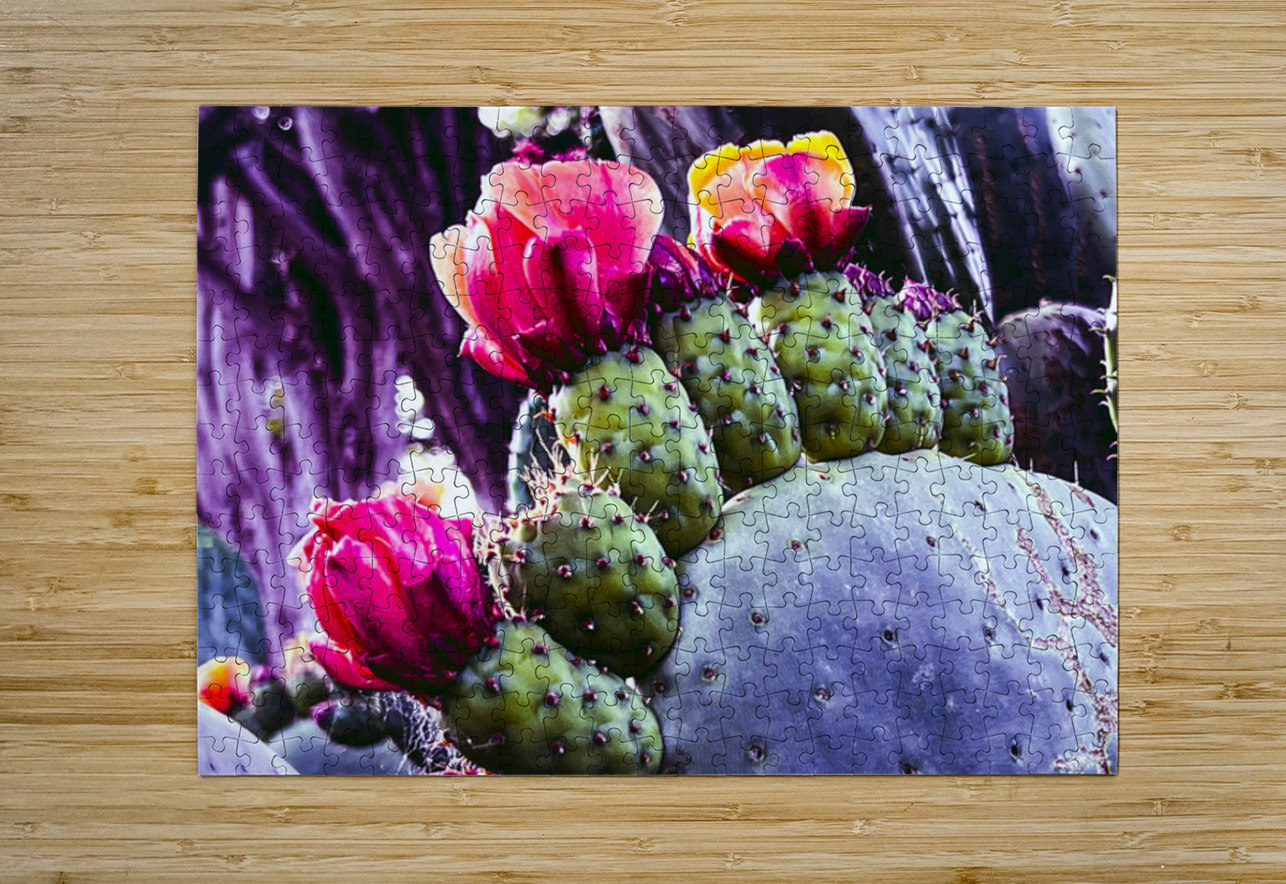 Cactus Group   Barbara Jacobs Puzzle printing