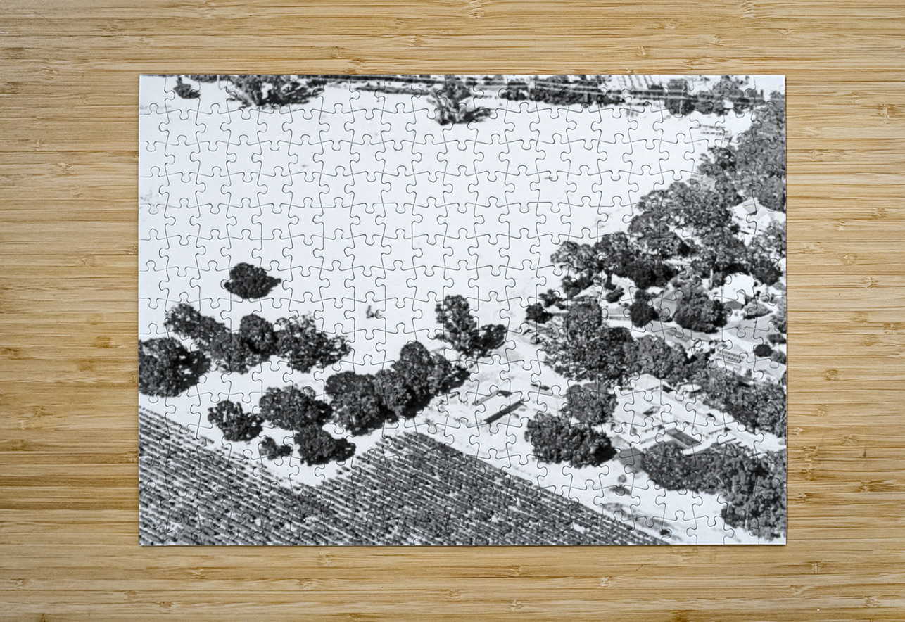 Abstract Fields Barbara Jacobs Puzzle printing