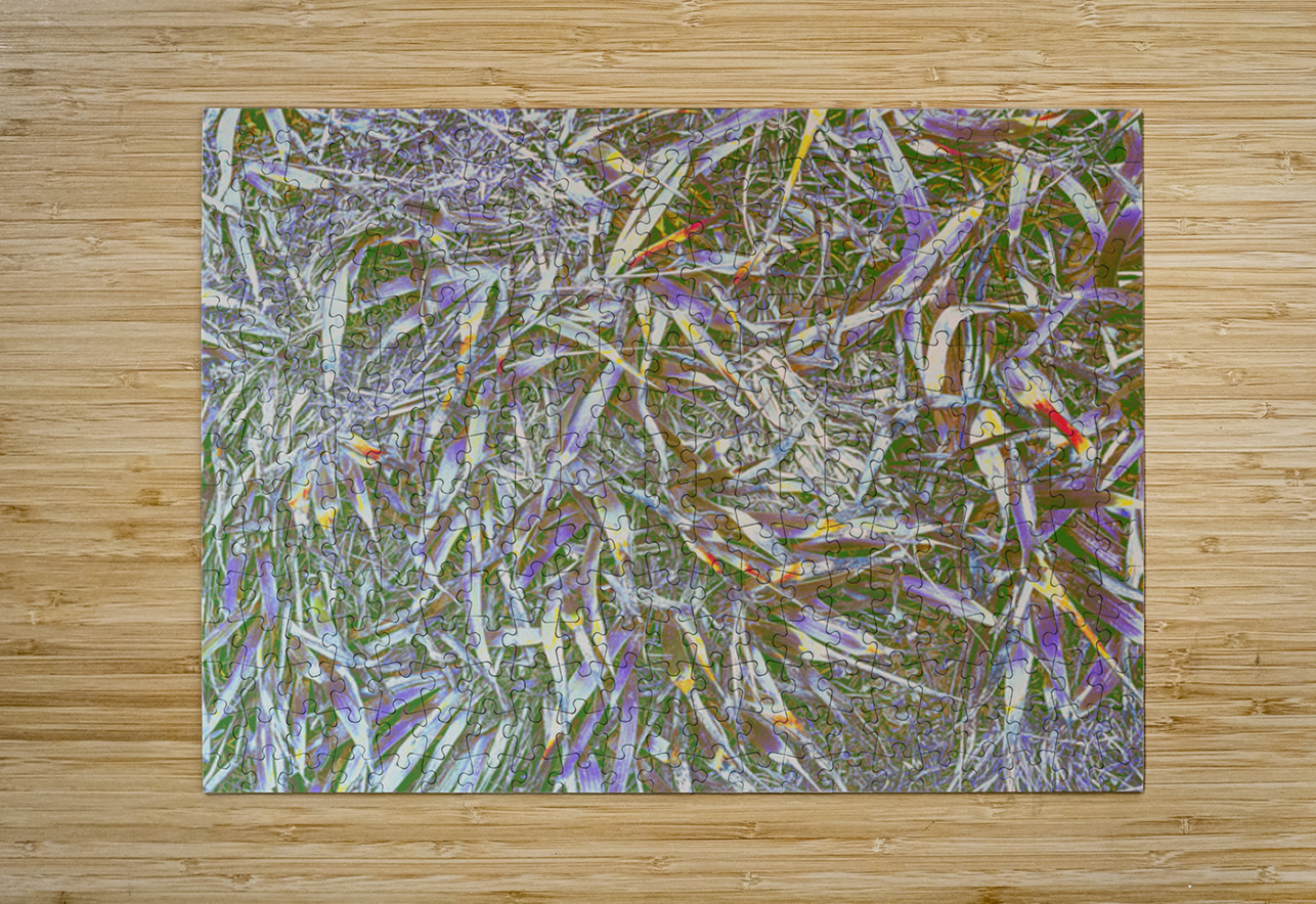 Many Grasses  Barbara Jacobs Puzzle printing