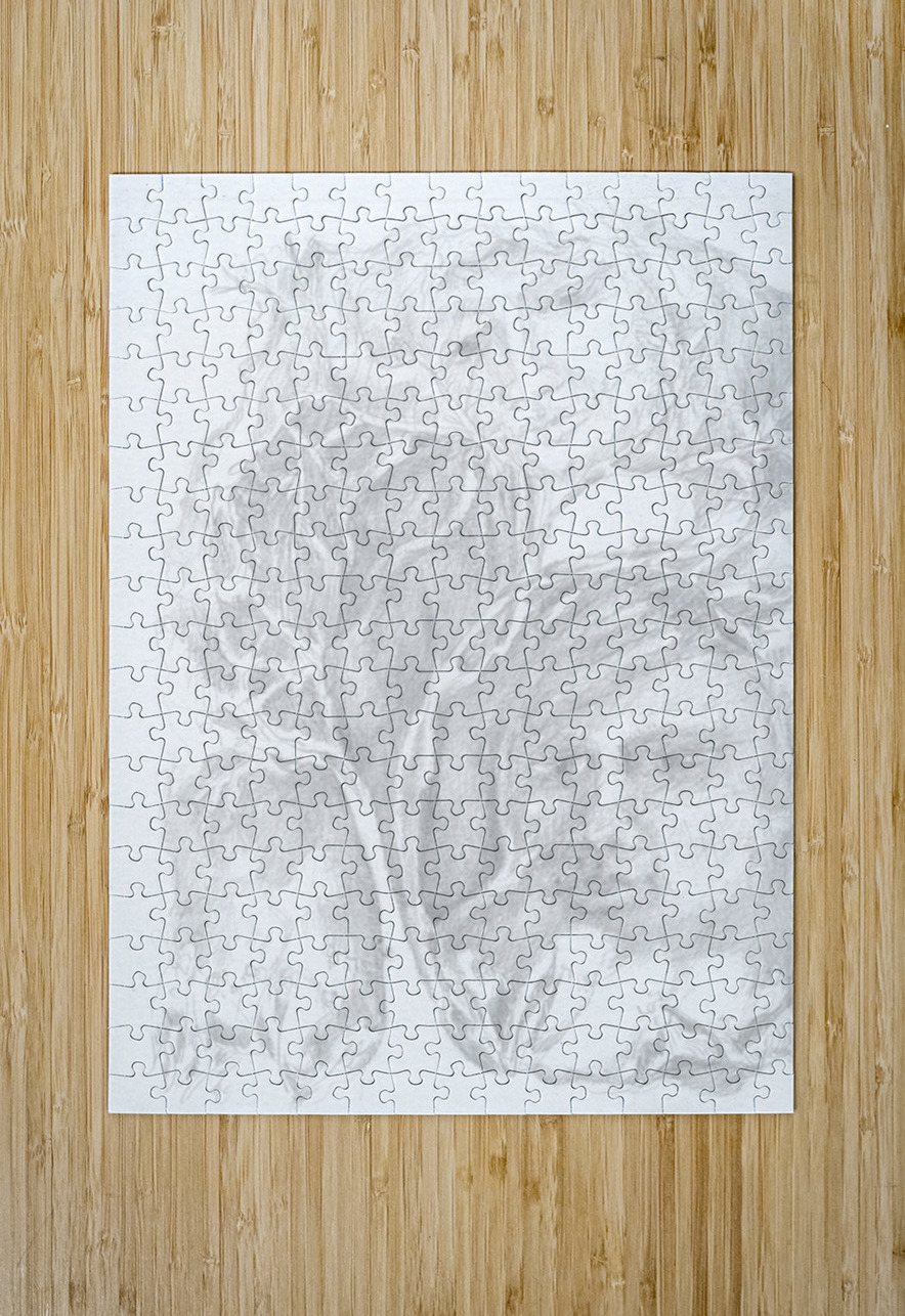 Dreamscapes - Silverpoint - Living in Trees Barbara Jacobs Puzzle printing