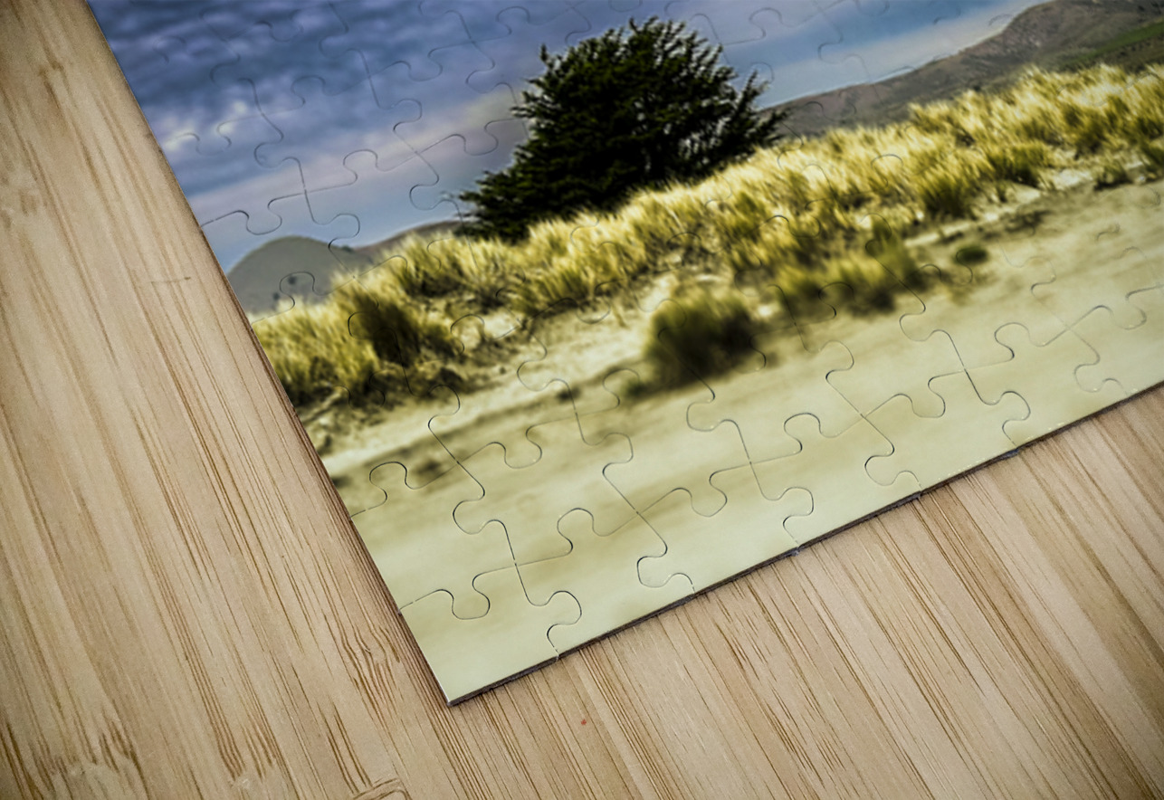 Alone Waiting for Rain Barbara Jacobs Puzzle