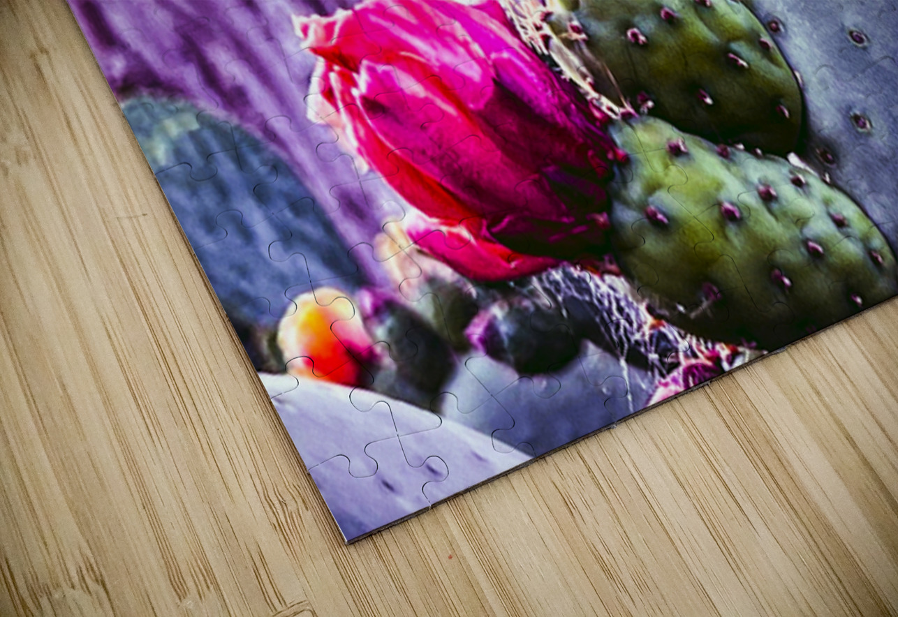 Cactus Group   Barbara Jacobs Puzzle