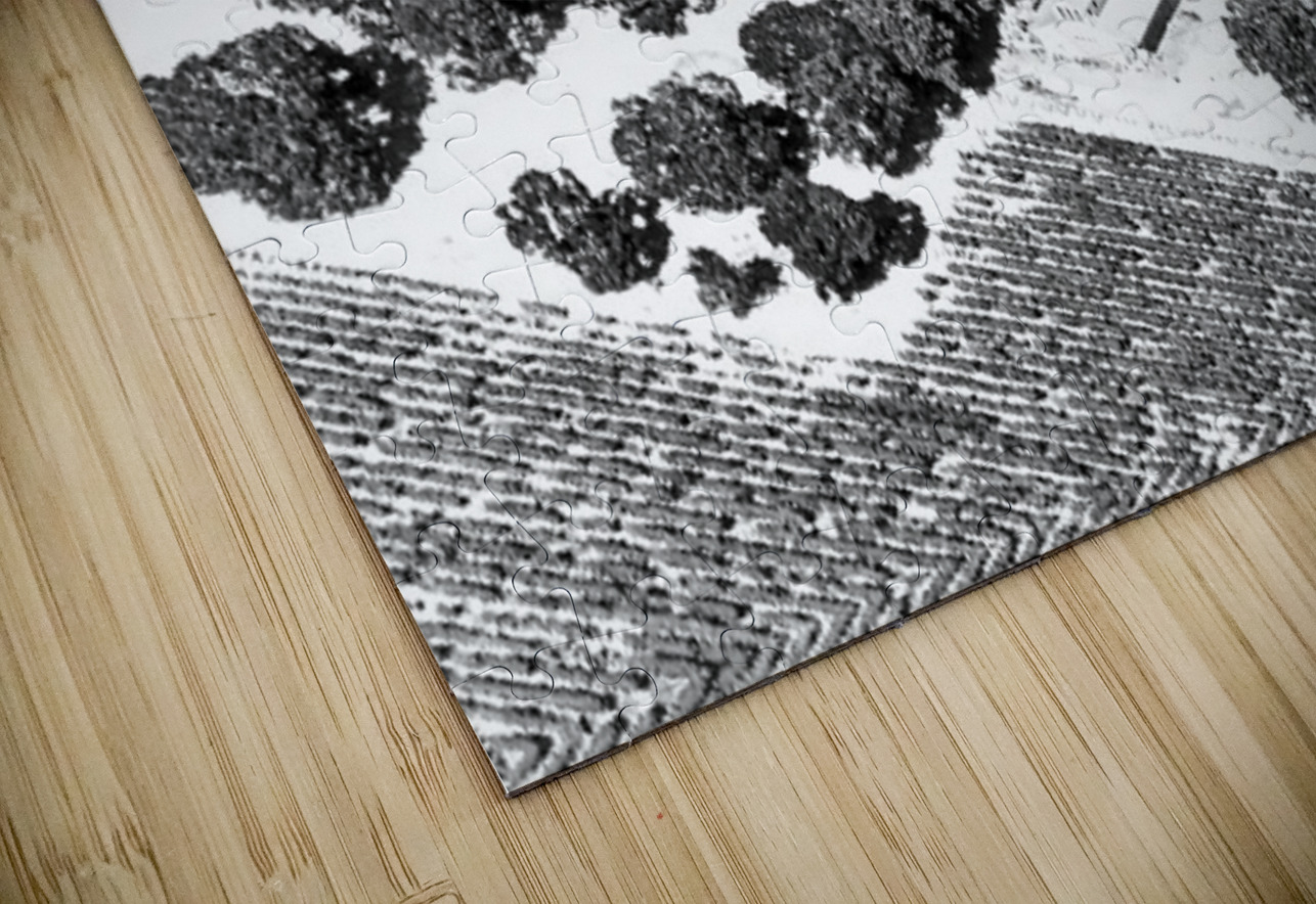 Abstract Fields Barbara Jacobs Puzzle