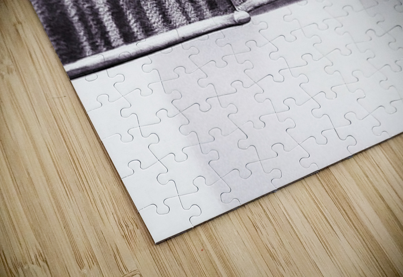 Fiddle in Black and White Barbara Jacobs Puzzle