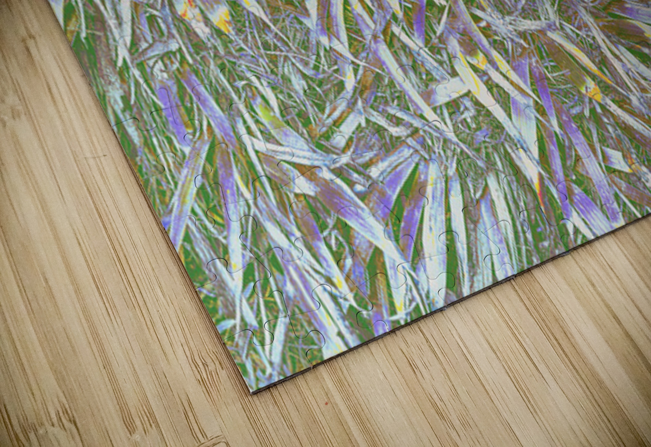 Many Grasses  Barbara Jacobs Puzzle