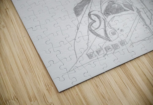 Dreamscapes - Silverpoint 5 Barbara Jacobs puzzle