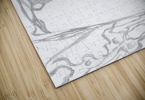 Dreamscapes - Silverpoint - Above and Below Barbara Jacobs puzzle