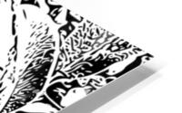 Leaves in Black and White HD Metal print