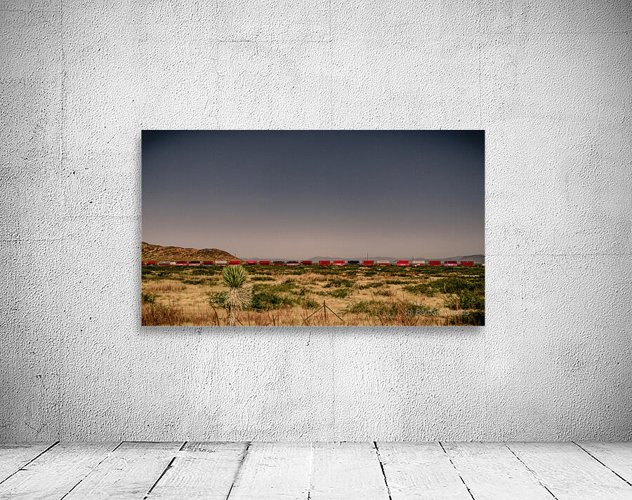 3 Miles of Red Boxcars Somewhere in Space Wall Preview