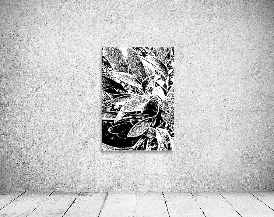 Leaves in Black and White Wall Preview