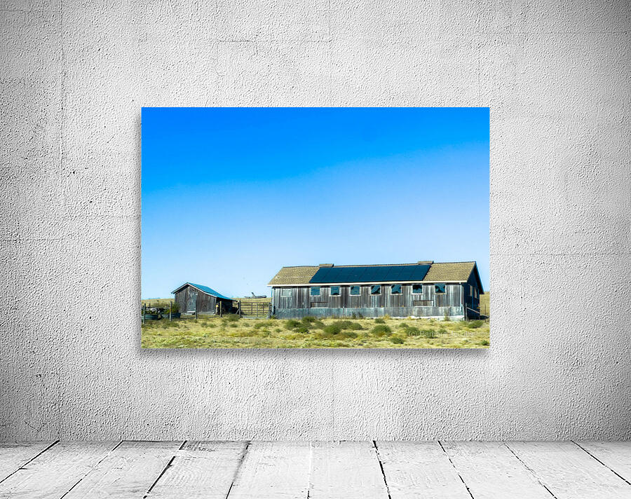 Blue Roof Shed  Wall Preview