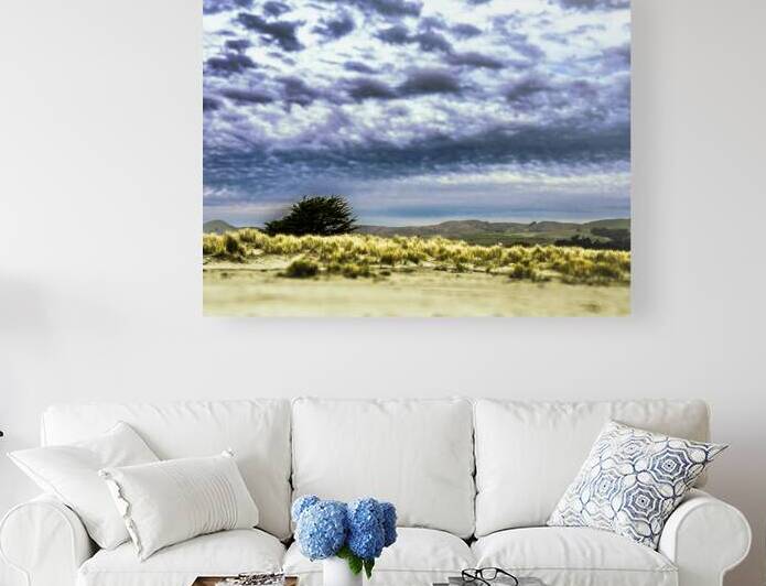 Alone Waiting for Rain by Barbara Jacobs