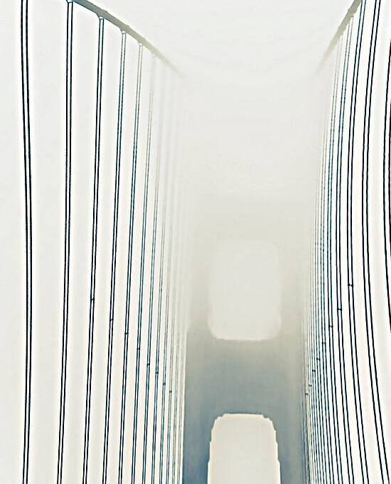Golden Gate Bridge in the Windy Fog by Barbara Jacobs