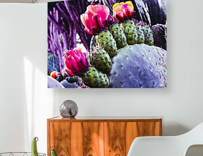 Cactus Group   by Barbara Jacobs