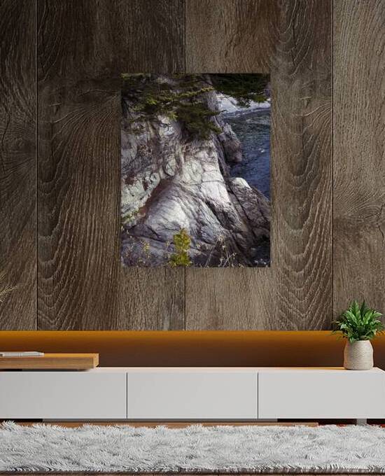 Cliff and Sea  by Barbara Jacobs