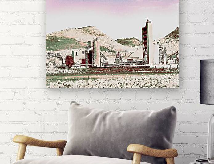 Desert Factory  by Barbara Jacobs