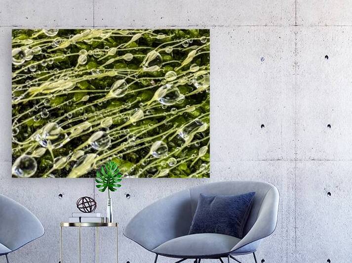 Essence by Barbara Jacobs